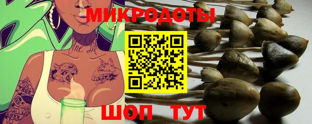Галлюциногенные грибы мицелий Реж