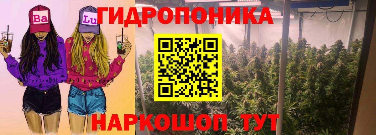 Бошки марихуана план Реж